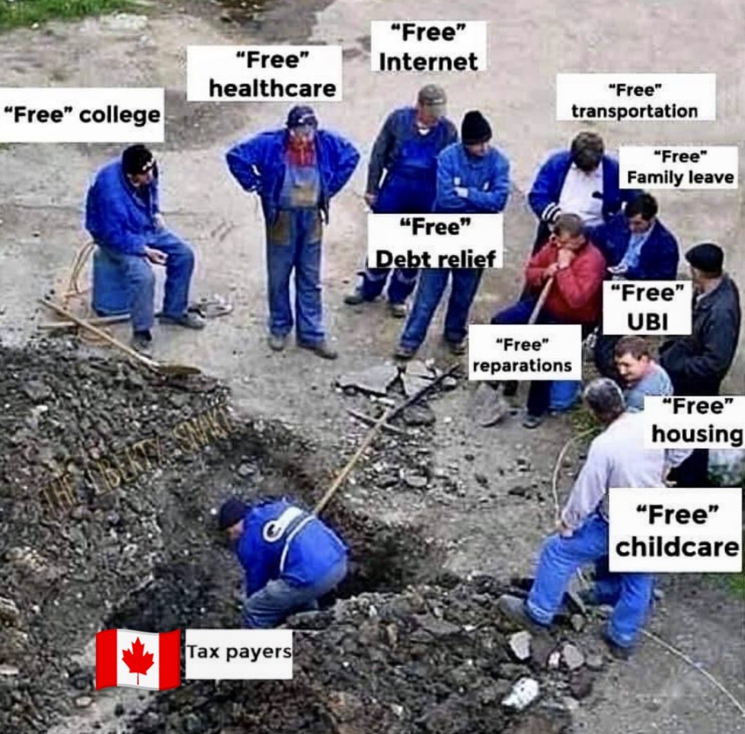 schtev69's tweet image. How "International Students" and "Temporary Foreign Workers" see Canada: