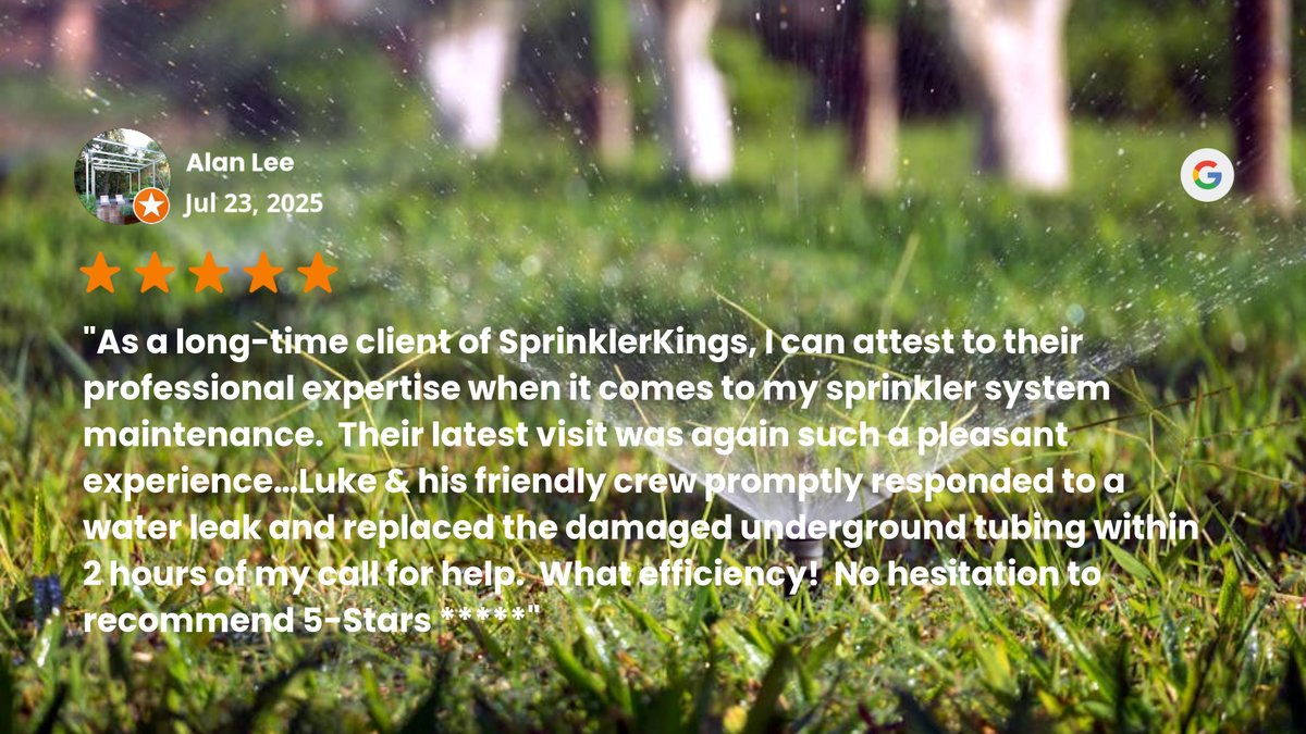 SprKngsTO's tweet photo. https://t.co/rsy0hMWlFW