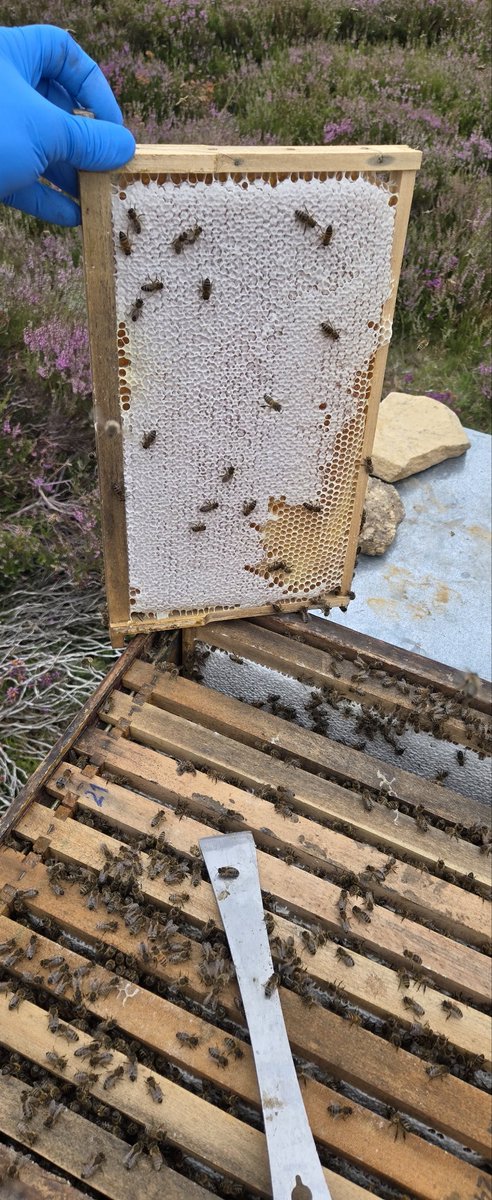 promises to be a good season