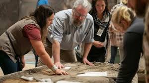 FDinosaurios's tweet image. Oculto durante 60 años: cómo un fémur gigante de Zambia podría cambiar el mapa evolutivo de los dinosaurios (@infobae @royalsociety)
Hueso de silesaurio conservado en @NHM_London reveló q los ancestros de estos gigantes pudieron ser aún mucho más grandes
n9.cl/l6k2e
