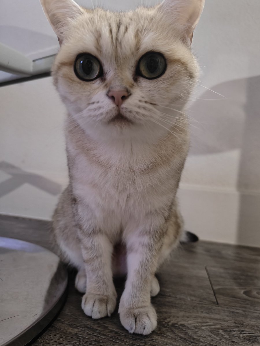 You have big eyes, small mouth. Can I have your wechat?