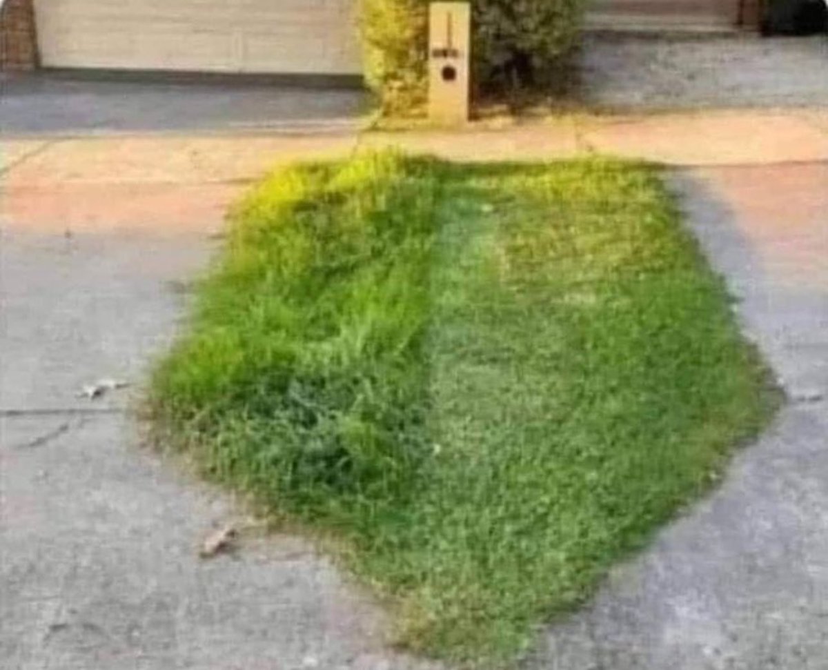 Many people don’t even know their nextdoor neighbors let alone talk to them.

This is unfortunate for all.

Cut the grass.