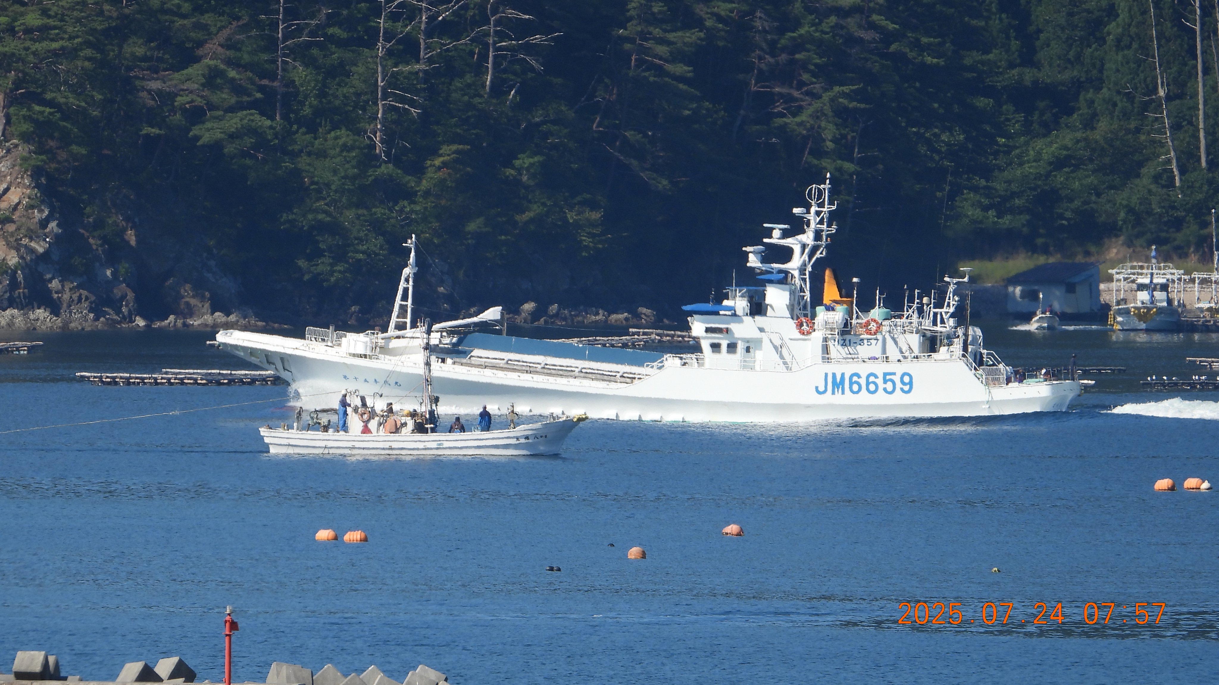 リピーター☘️海月様_18.40 きうじ🌹🍵 on X: 