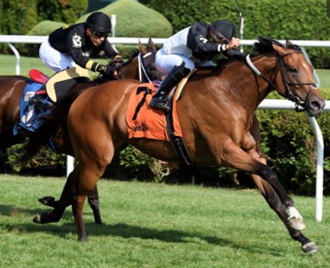 Stakes Winners 🏆 (@stakeswinners) on Twitter photo 🏆 FUTURE IS NOW
(Paco Lopez - Michael Trombetta)
CARESS STAKES 2025 ($175,000) Saratoga <a href="/TheNYRA/">NYRA (🎪)</a> <a href="/Pacolopez1018/">Paco López</a> <a href="/trombetta_mike/">Trombetta Stables</a> <a href="/MarylandTB/">Maryland Thoroughbred</a> <a href="/BreedersCup/">Breeders' Cup</a>
📷 <a href="/coglianesephoto/">Coglianese Photos</a> 🏆 FUTURE IS NOW
(Paco Lopez - Michael Trombetta)
CARESS STAKES 2025 ($175,000) Saratoga <a href="/TheNYRA/">NYRA (🎪)</a> <a href="/Pacolopez1018/">Paco López</a> <a href="/trombetta_mike/">Trombetta Stables</a> <a href="/MarylandTB/">Maryland Thoroughbred</a> <a href="/BreedersCup/">Breeders' Cup</a>
📷 <a href="/coglianesephoto/">Coglianese Photos</a>