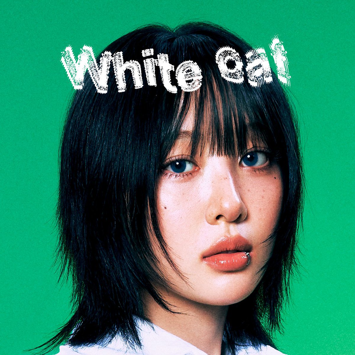 yvesupport's tweet image. PAIX PER MIL press release on &lt;White Cat&gt;
"&lt;White Cat&gt; depicts the image of “me” drifting without a set destination, created to be loved but ultimately abandoned like a perfectly beautiful cat left on the streets. Layered over dreamy synth sounds, Yves’s uniquely captivating…
