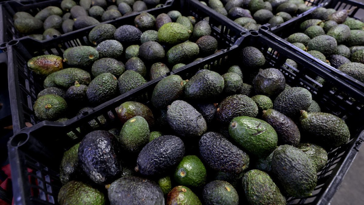 Au Maroc, l'avocat sur le banc des accusés rfi.my/Brqz.x