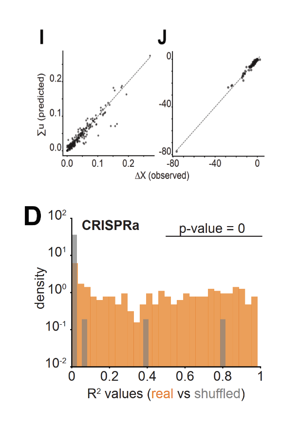 How challenging is the prediction of transcriptional responses to CRISPR  gene perturbations ? 

A simple model, just scaling RNA correlation vectors,  results in accurate predictions for many perturbations.

The model is intuitive &amp; grounded in a simple approximation.

1/2