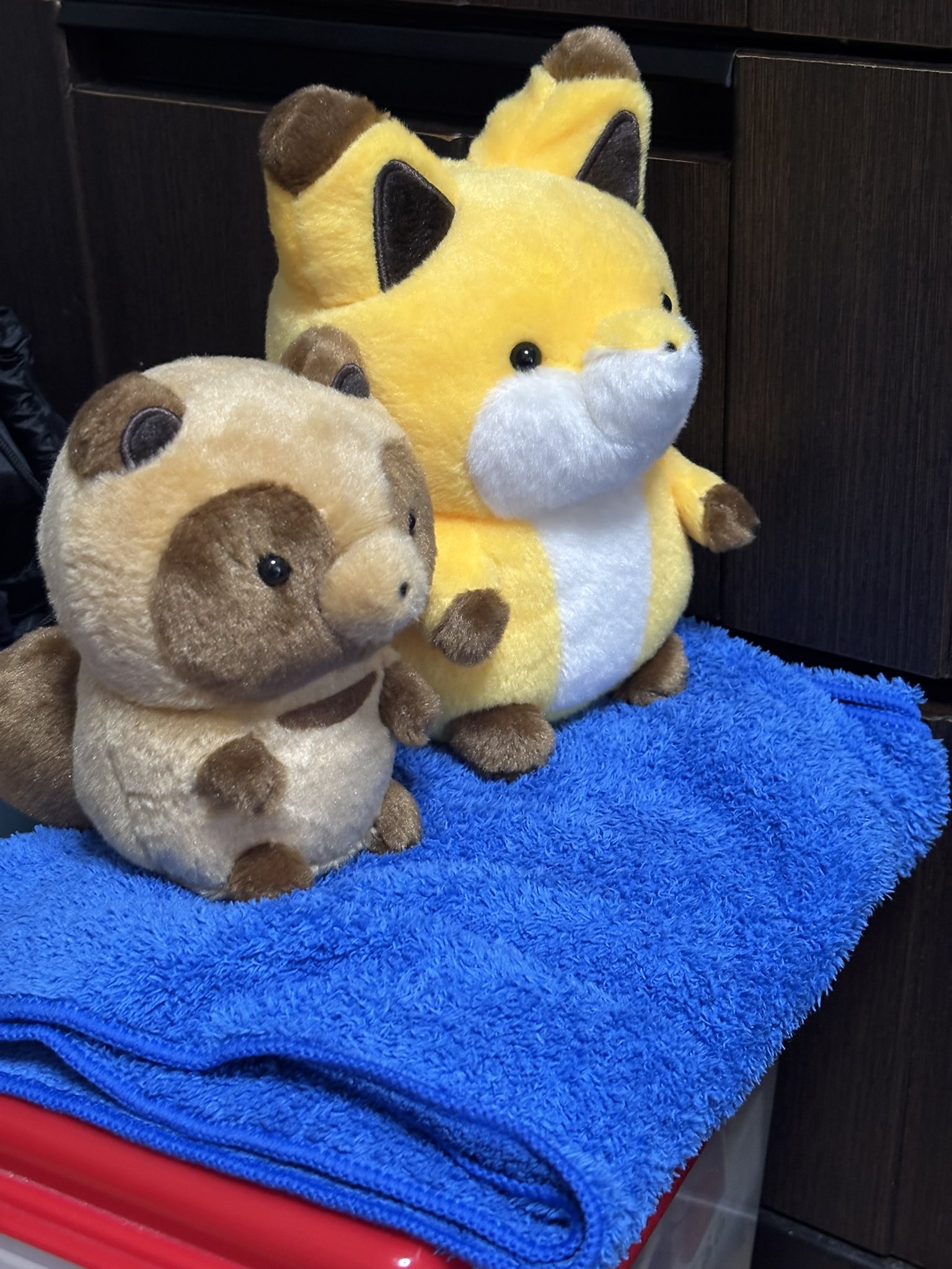 タヌキとキツネ　123個大量まとめ売り　【3796 Amazon.co.jp: タヌキとキツネ ぬいぐるみ タヌキ＆キツネ S 2種