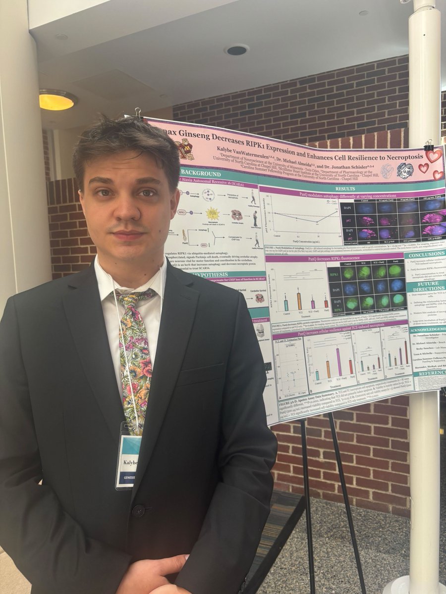 UNC_PHCO's tweet image. 🌱 Carolina Summer Fellow Kalybe VanWatermeulen from the Jonathan Schisler Lab @NitDawg @TheSchislerLab studied how Panax Ginseng may help cells fight damage, opening doors to exciting new therapies! #CarolinaSummer