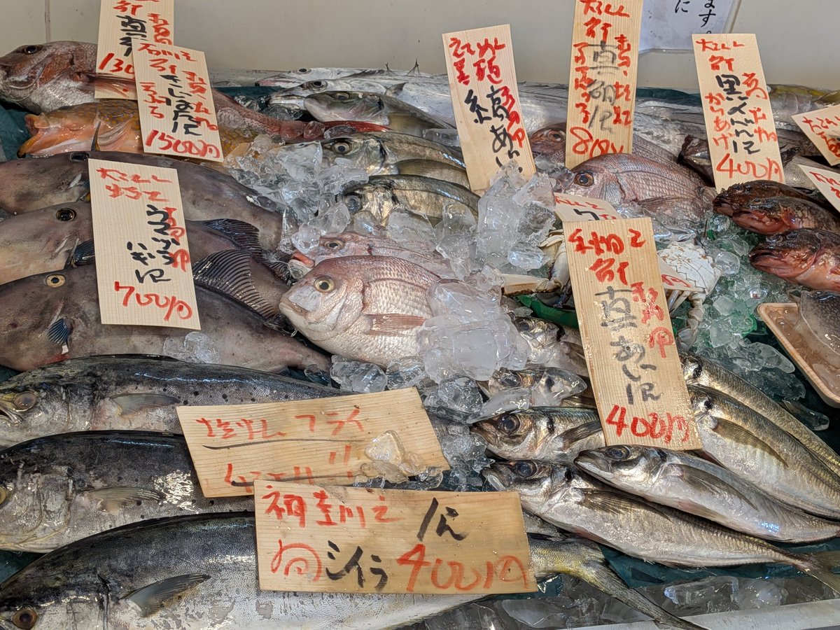 uokeioarai's tweet image. おはようございます、魚結です✨
今日のおすすめでは、岩手産ムラサキウニ一つ500円‼️
生食、焼きウニ、蒸しウニ等で大変美味しい今が旬の貝です🐚(殻外し致します。)
(お電話でのご注文承っております。)
よろしくお願い致します🙇
#ムラサキウニ #魚好きと繋がりたい #大洗