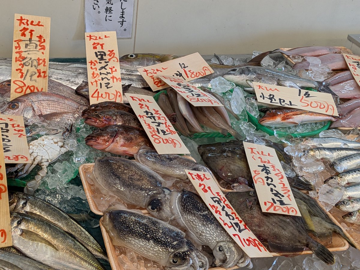 uokeioarai's tweet image. おはようございます、魚結です✨
今日のおすすめでは、岩手産ムラサキウニ一つ500円‼️
生食、焼きウニ、蒸しウニ等で大変美味しい今が旬の貝です🐚(殻外し致します。)
(お電話でのご注文承っております。)
よろしくお願い致します🙇
#ムラサキウニ #魚好きと繋がりたい #大洗