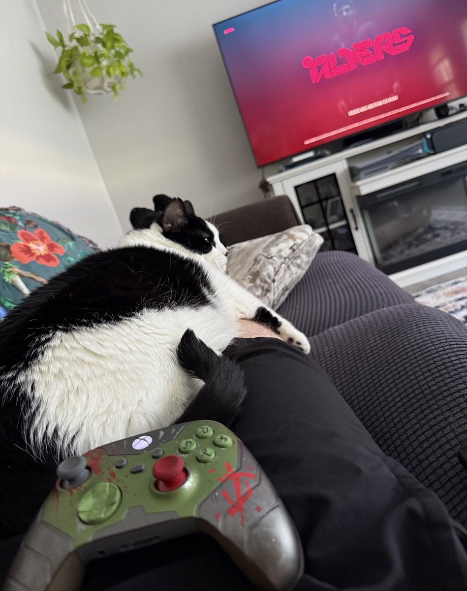 Evening vibes 🤙🏻🐈‍⬛