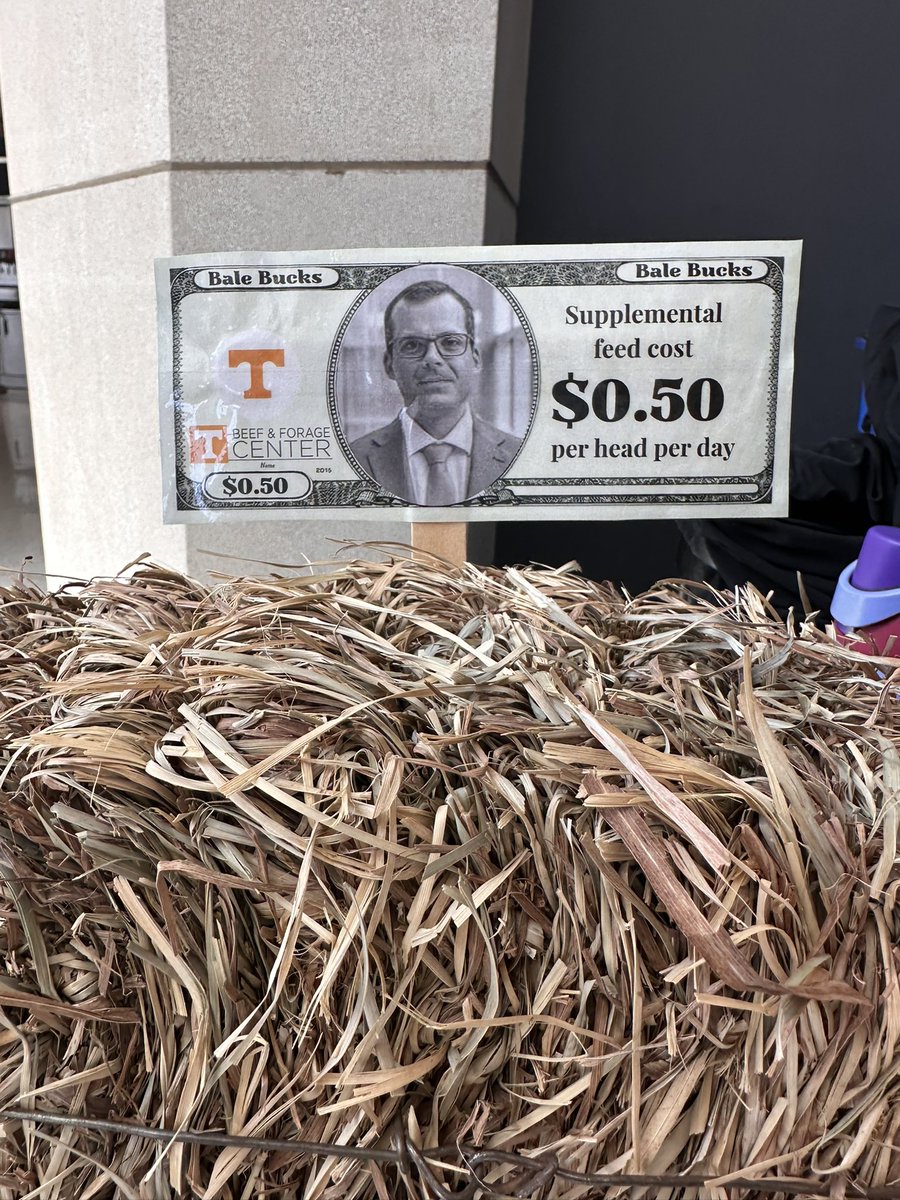 Bruno Pedreira (@pedreirabc) on Twitter photo Today, our <a href="/utextension/">UT Extension</a> summer intern Brie McLerran presented her What’s in Your Bale? project! 🌾 Our goal: to show farmers the value of hay testing and how it can impact supplementation costs.
Let’s just say… by the end of the day, I found myself in a dollar bill! 💵 Today, our <a href="/utextension/">UT Extension</a> summer intern Brie McLerran presented her What’s in Your Bale? project! 🌾 Our goal: to show farmers the value of hay testing and how it can impact supplementation costs.
Let’s just say… by the end of the day, I found myself in a dollar bill! 💵
