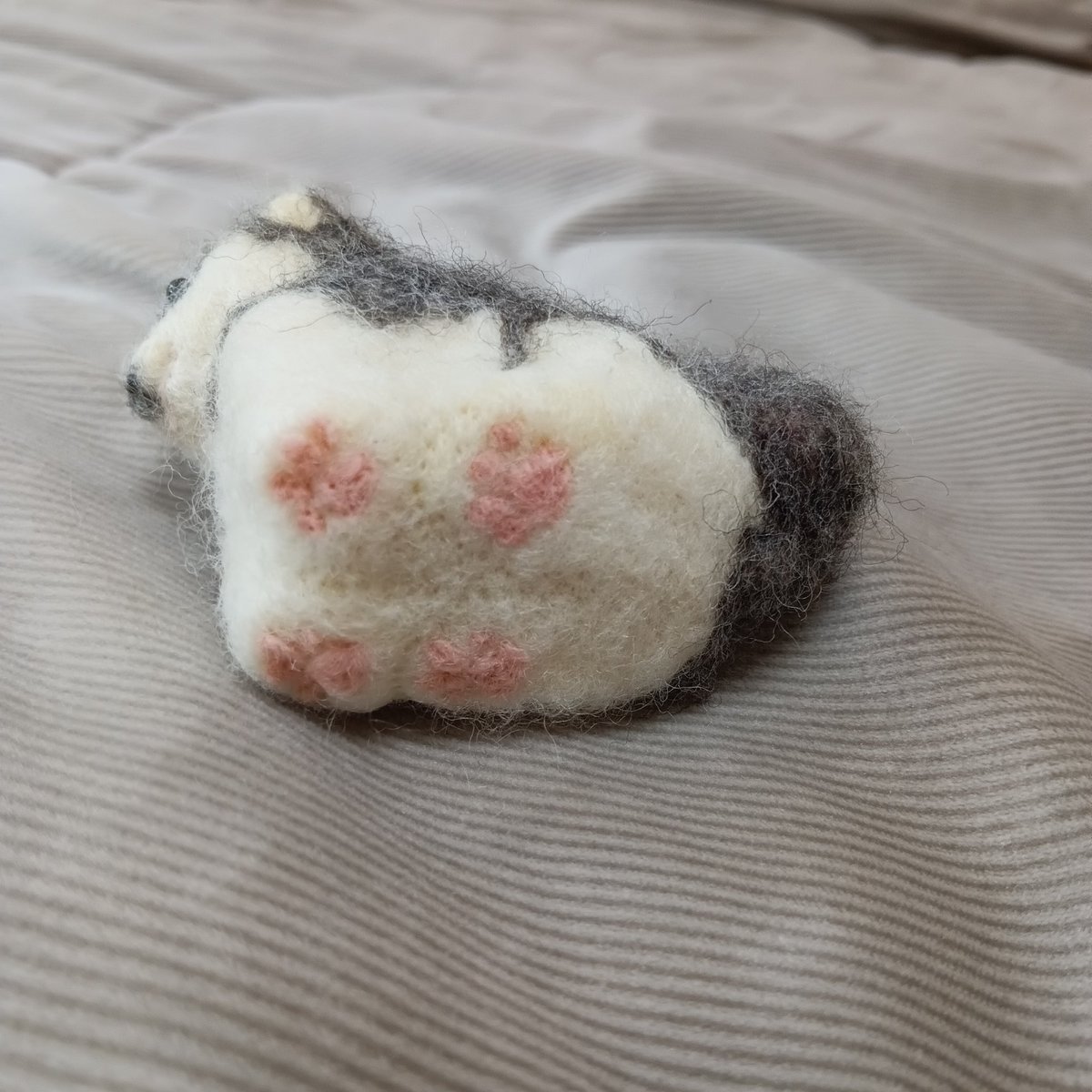 yanyangold's tweet image. おはやん☀
今日はお仕事お休みで、就労移行に行くよ!
本の朗読会のグループワークがあるの🤗💕💕
みんなに会えるのも楽しみ〜🎶
本日の羊毛フェルト
昨日作った新作
シベリアンハスキーの子犬💕💕🥳
可愛くできたと自画自賛(笑)
肉球もちゃんとあるよ😚✨
#羊毛フェルト
#カリフェス2025