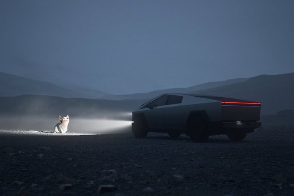 Fu11io's tweet image. “Until you see a cat sing and dance, it’s just a cat” @elonmusk
Pop
