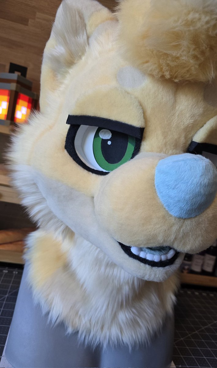 BakeryFursuits's tweet image. We&apos;ve got a Shiba on our hands! Say hello to Mykael!✨️🐕