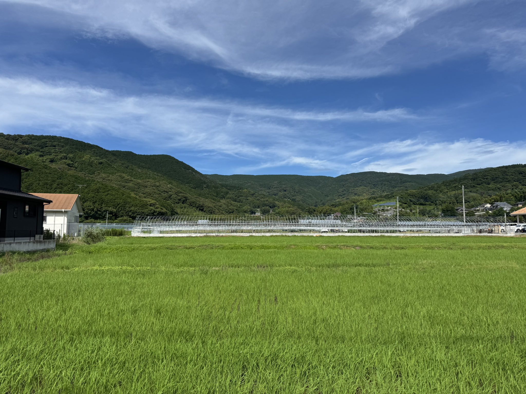 その他 HIME NEON PINK ver V Neck Crop Top With Cap Sleeves in Neon Pink Holographic