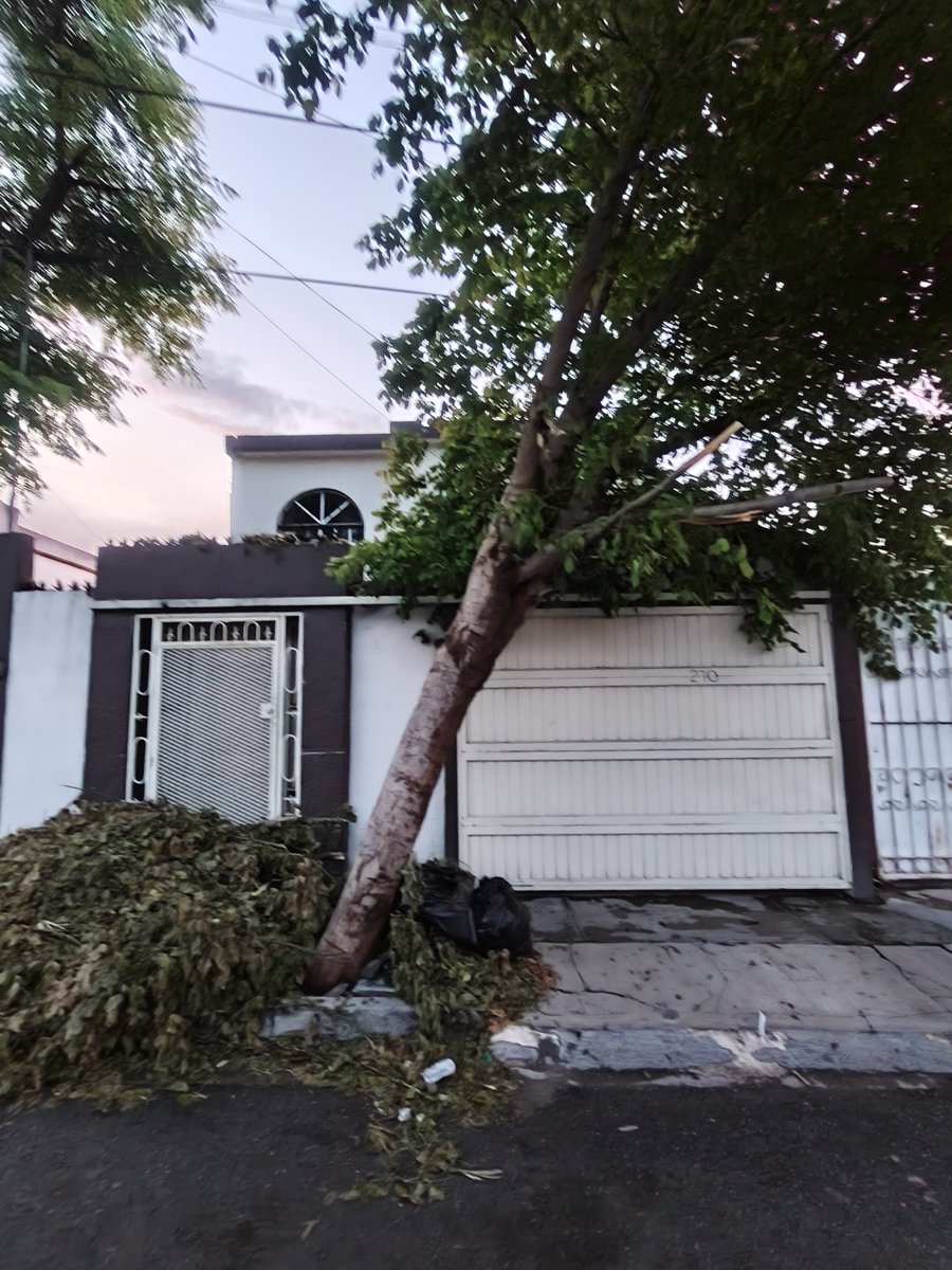 CICsal's tweet image. *BANQUETA* Ciudadano(a) reporta Banqueta señala que árbol a punto de caer Con las lluvias se está desgajando del suelo. en Calle W 270, C.P. 25294, Entre Calle 17 y Calle 14 de Febrero #Saltillo @OPublicasSalt @SaltilloGob
crm.ccic.org.mx/seguimiento/?f…