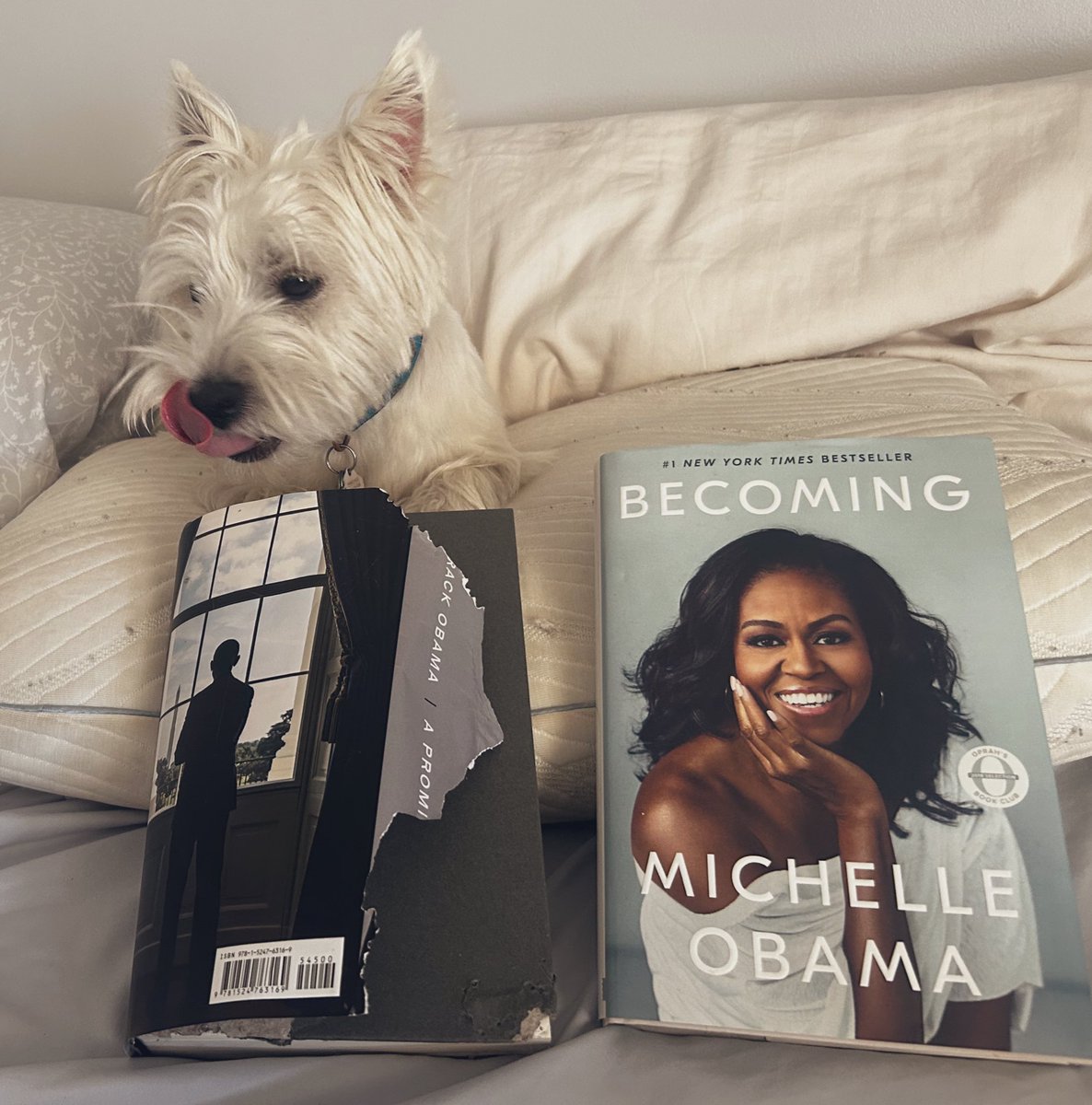 LeftHandStu's tweet image. Hamish with a clear preference for Michelle’s prose over her husband’s… 
#EveryonesACritic