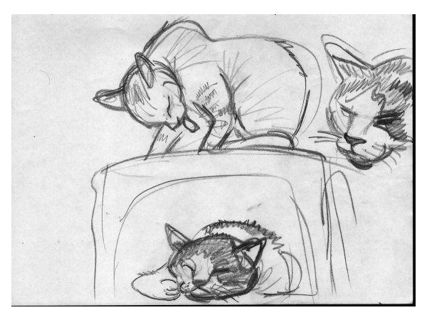 artofjimsmith's tweet image. sammie