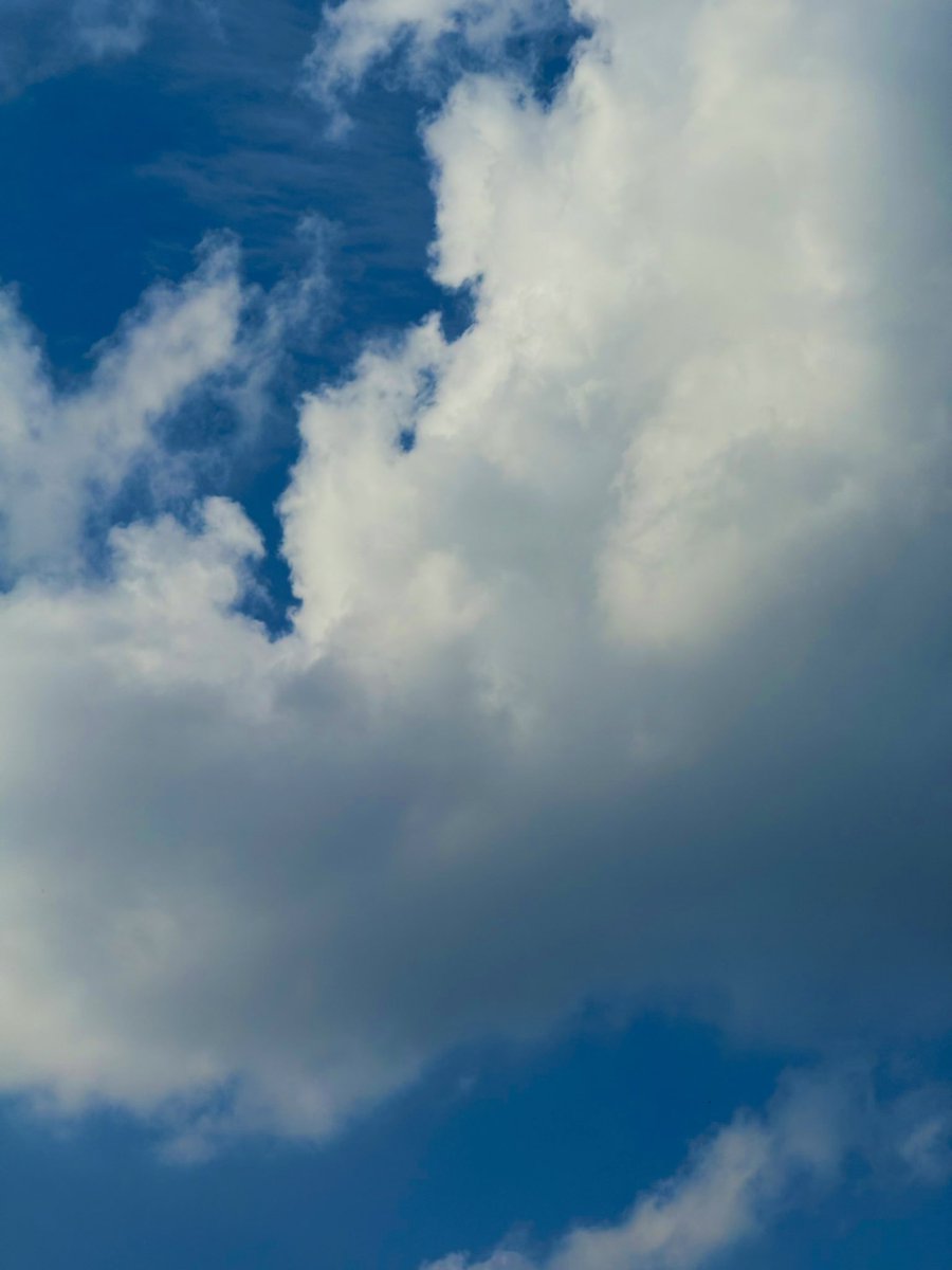 __paleologo's tweet image. Will likely miss my flight, but the clouds are beautiful