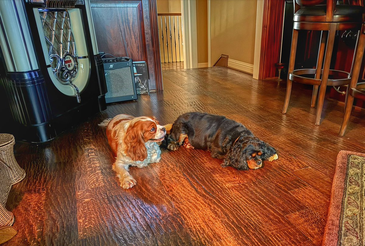_Terry_Roden's tweet image. After dinner food coma 😴