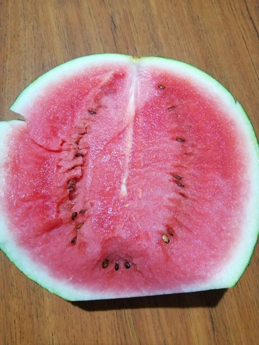 AccKKey's tweet image. おはようございます
昨日今年初めてのスイカ収穫
黒皮スイカ 冷やして食べておいしいよね
今日も暑くなるのでお気をつけてお過ごしください