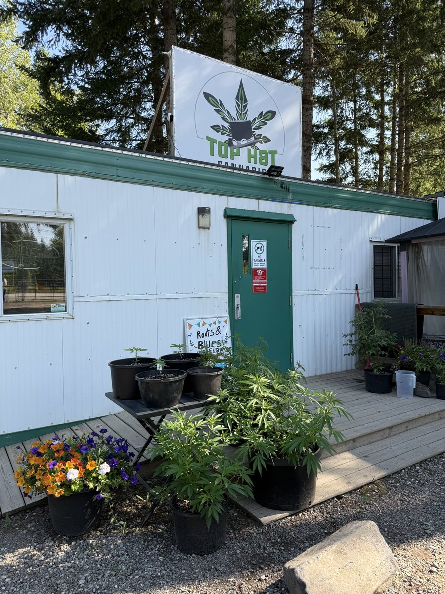 Stephjd420's tweet image. Perfect day for a road trip and a little restock. Thankful to have Indigenous Dispensaries that do not charge tax. Anyhoo, hope everyone is enjoying the day 🫶🍃💨