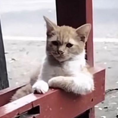 #صورة_جديدة_للملف_الشخصي