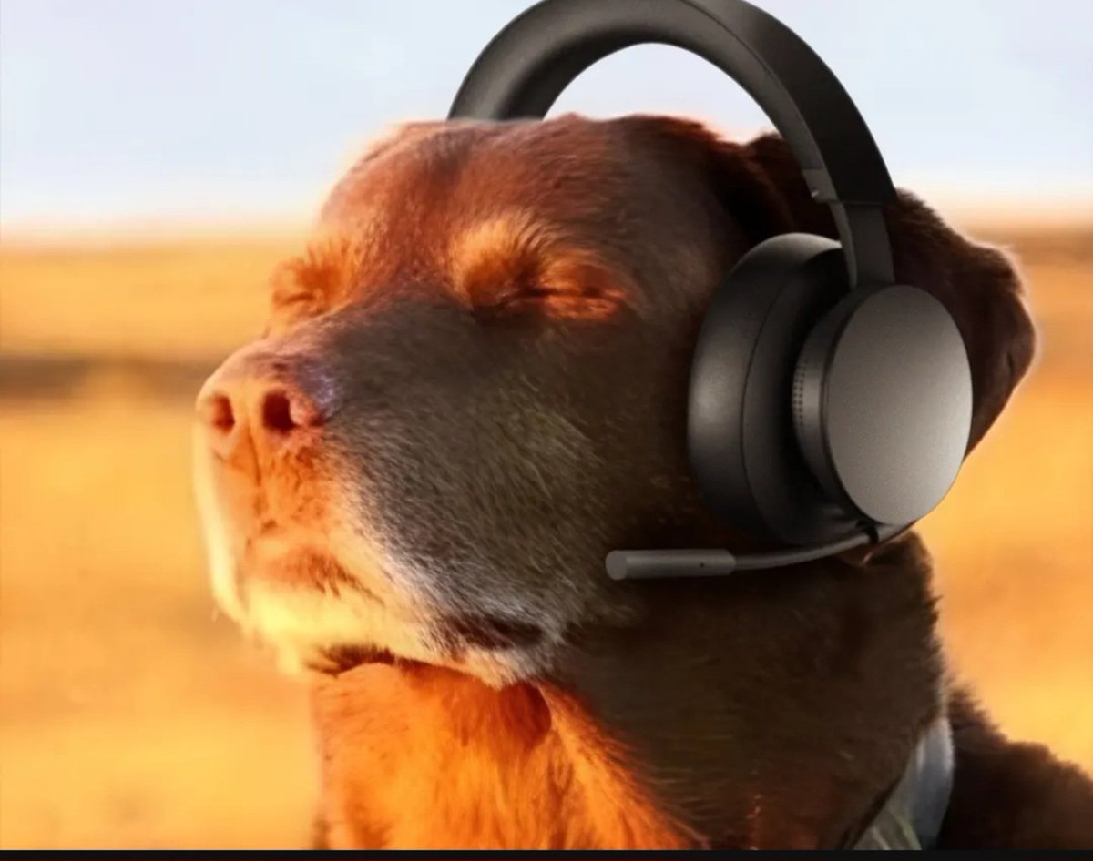 TroyE23's tweet image. How it feels to call someone a nıgger on COD