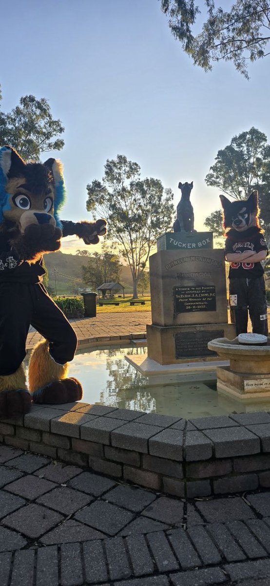 RexTheThirdAU's tweet image. we found the dog on the tucker box!
