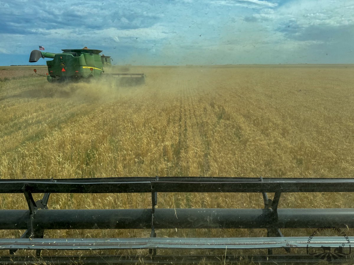 vftfarm's tweet photo. My harvest view.
#harvest25 https://t.co/9zKZdPoWpw