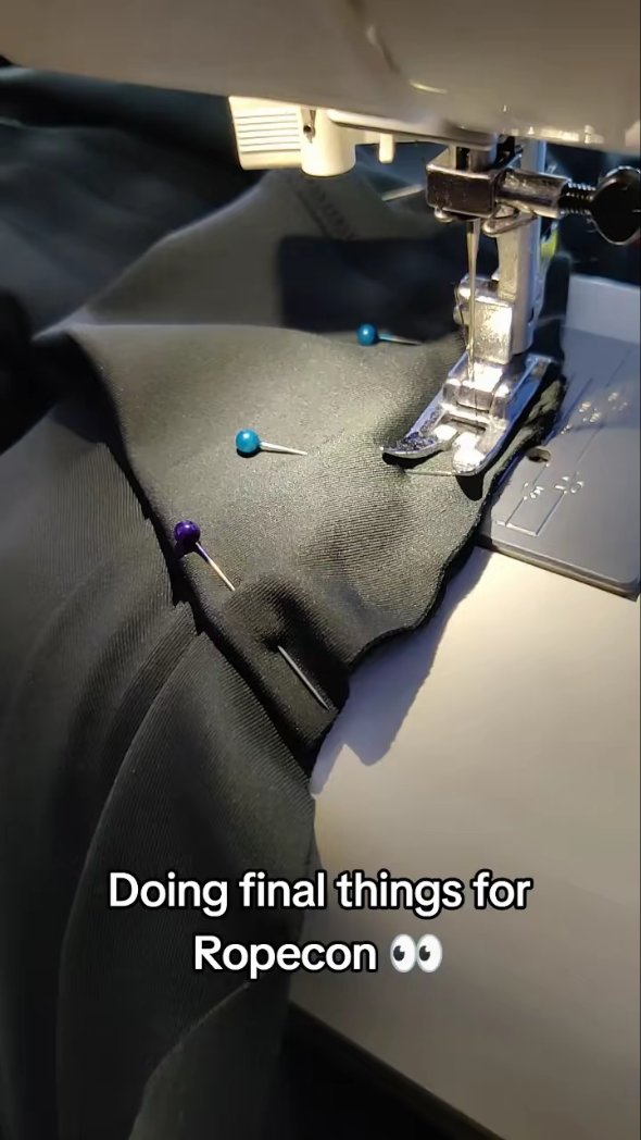 SipiTheBunny tweet media