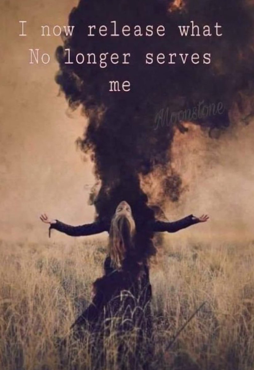 🎃Veronica🕸🕷🌙💚💛🧀 (@spookybatqueen) on Twitter photo 