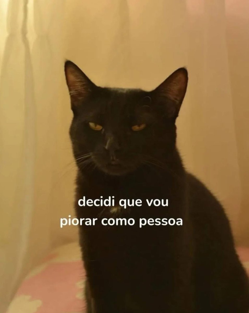 soudesabafosofc's tweet image. 