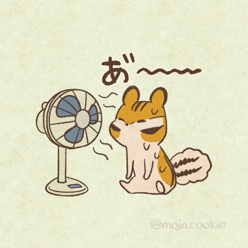 mojacookie's tweet image. 今日もめちゃくちゃ暑い！
気をつけて〜