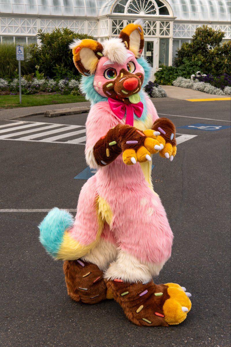 sprinkle_dog's tweet image. showing my sprinkles cuz it’s Sprinkle Day 🩷🍩