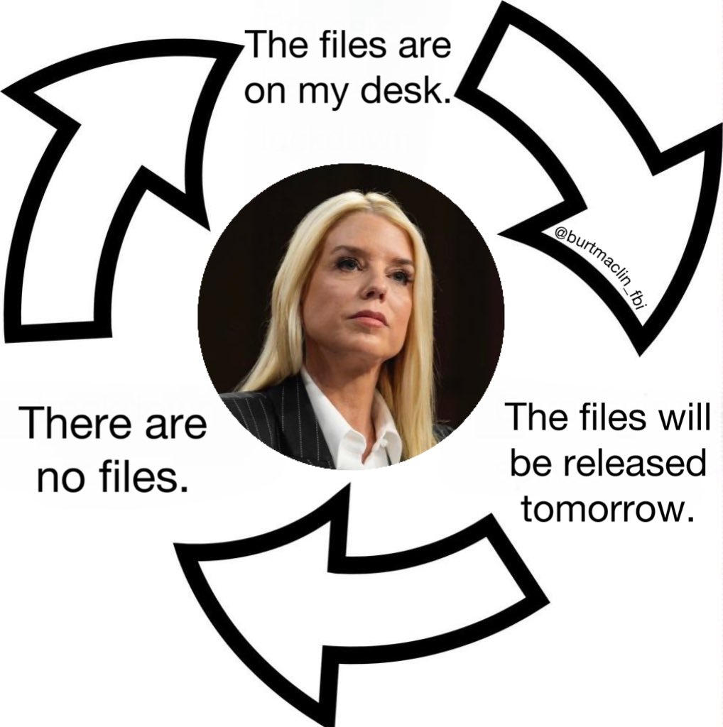 Pro tip: Before you go on Fox News and promise to release the Epstein Files, make sure your boss' name isn't mentioned in the Epstein Files 100 times.
