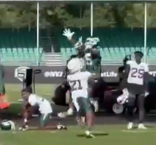 DayngerZone's tweet image. Mannnn, people dont know how ridiculously special Randy Moss was. LOVE Garrett, but calling this a "Mossing" is a stretch lol #jetup