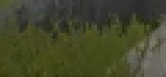 EvilTubbyST's tweet photo. shoutout to the bushes who have been wit me since day 1.
love y'all so much 🙏❤️🫶 https://t.co/VWs6xTisq8