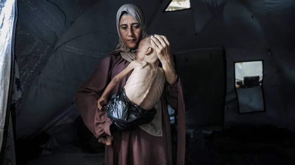 benwrightjourno's tweet image. More than 100 international aid organisations and human rights groups are warning of mass starvation in Gaza and pressing for governments to take action.
bbc.co.uk/news/articles/…