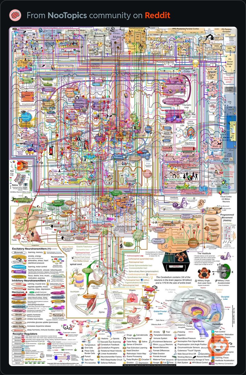 Doctors will see this and be like “Yeah just take some adderall you’ll be fine”