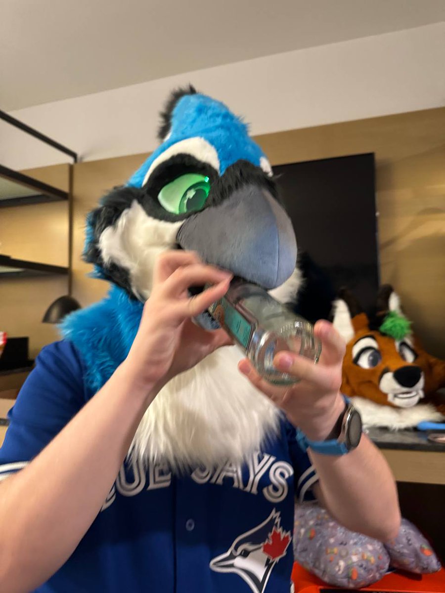 Squawk_the_Jay's tweet image. Is it the weekend yet?
π· by @DonovanRottie
π§΅ by @Eelowyn