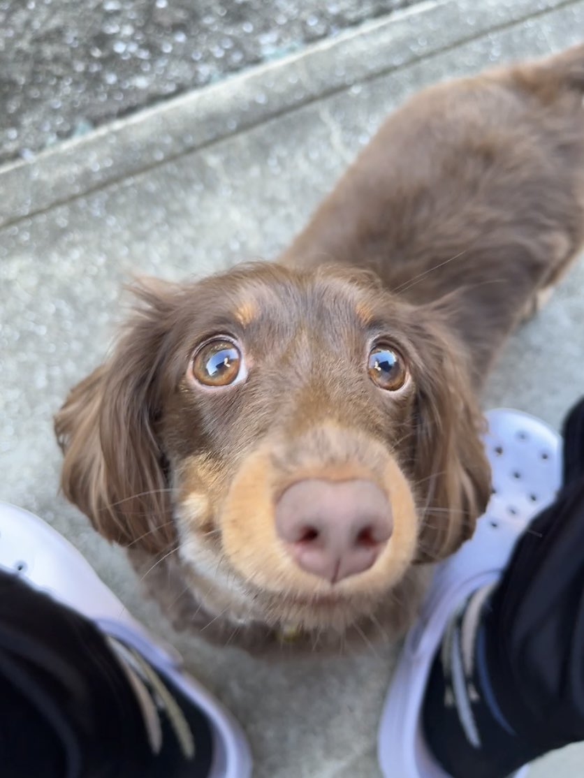 2552Ange's tweet image. おつかれさまでち🐾