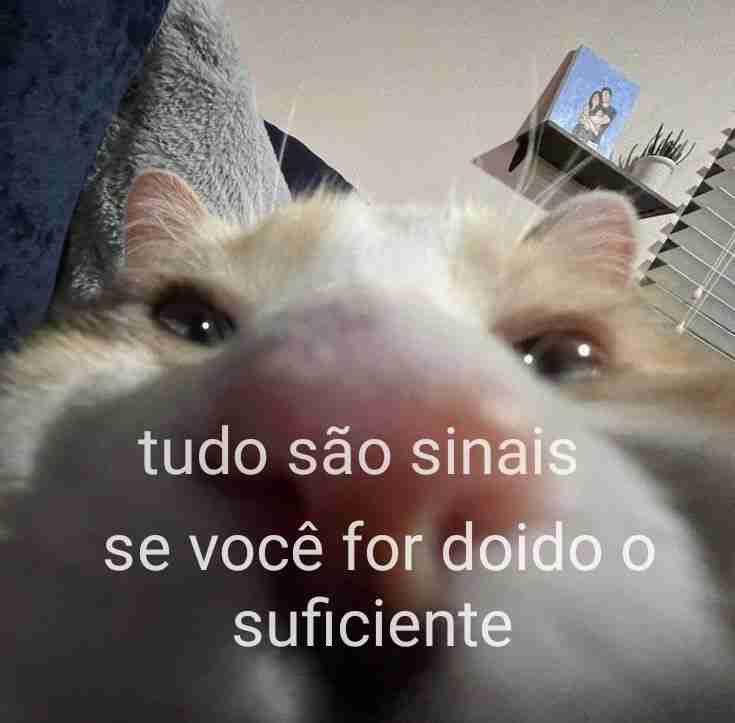 soudesabafosofc's tweet image. 