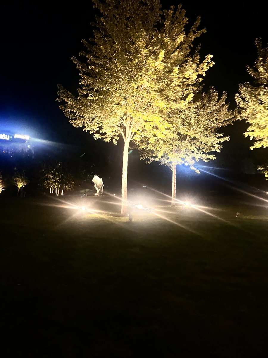 kerrykein's tweet photo. night vibe🌑 https://t.co/urYUN3rM1j