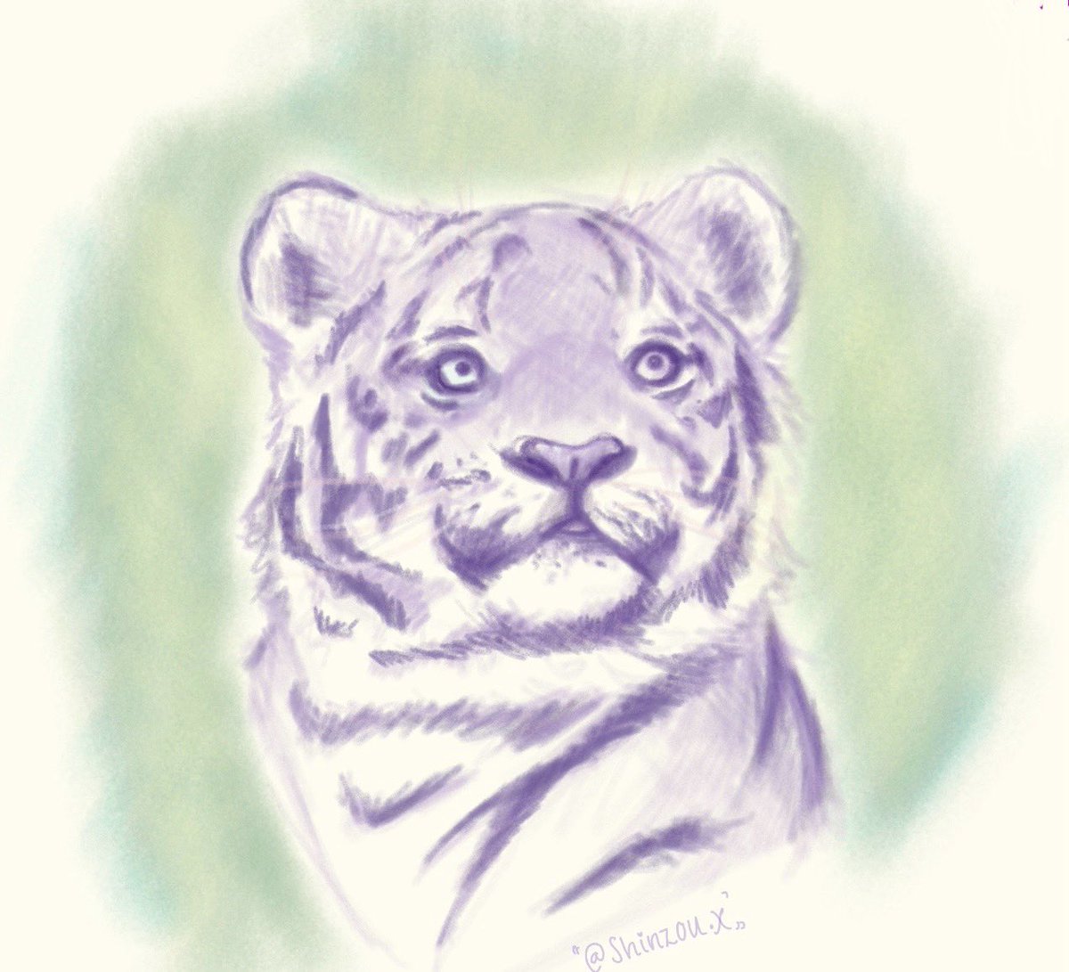 ShinzouuX's tweet image. Little #sketchdump