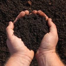 RightCohen's tweet image. You can tell if soil is fertile just by looking at it. Fertile soil is usually dark, soft, and full of organic matter. It often has earthworms and other helpful creatures living in it.
Like, Repost & Share.
Follow me (@RightCohen) for daily farming News & Tips.
#LetsFarmTogether