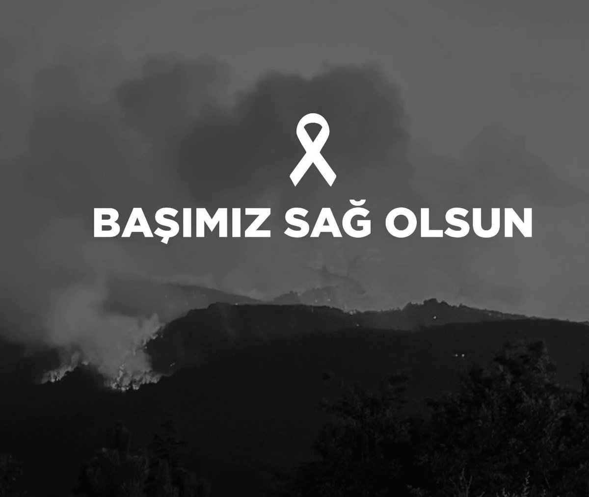 Eskişehir’de çıkan orman yangınında 11 kahraman orman işçimizi şehit verdik.

Yeşile can veren, ormana nefes olan bu fedakâr insanlara Allah’tan rahmet, acılı ailelerine sabır diliyoruz.

Milletimizin başı sağ olsun… 🌲🇹🇷