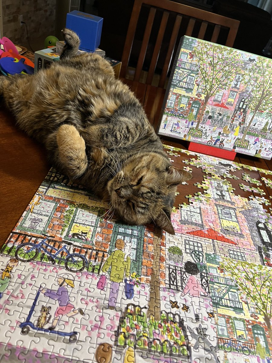 Puzzle day